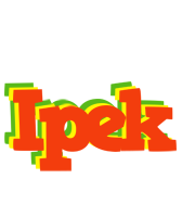 Ipek bbq logo