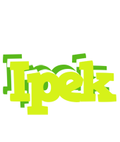 Ipek citrus logo