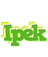 Ipek picnic logo