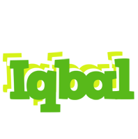 Iqbal picnic logo