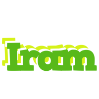 Iram picnic logo