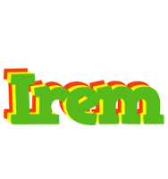 Irem crocodile logo