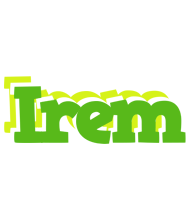 Irem picnic logo