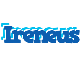 Ireneus business logo