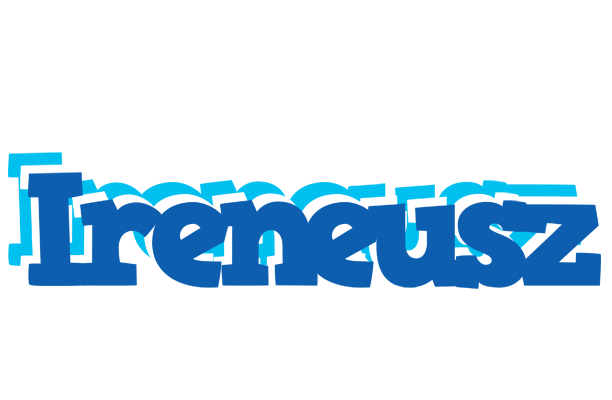 Ireneusz business logo