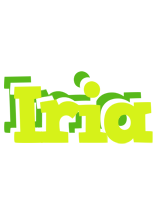 Iria citrus logo