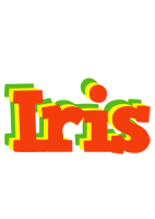 Iris bbq logo