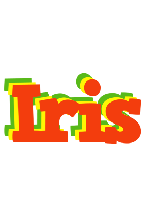 Iris bbq logo
