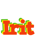 Irit bbq logo