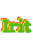 Irit crocodile logo