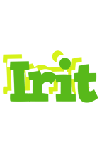 Irit picnic logo