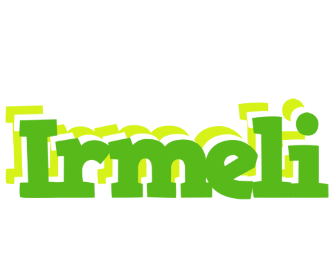 Irmeli picnic logo