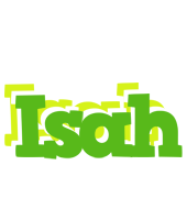 Isah picnic logo