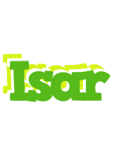 Isar picnic logo