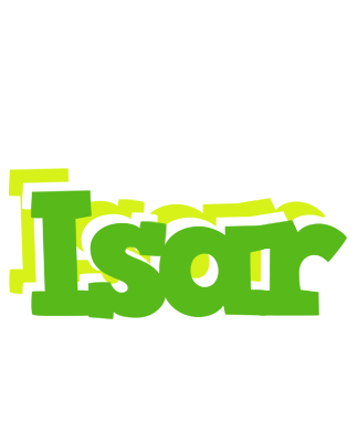 Isar picnic logo