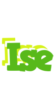 Ise picnic logo