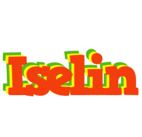 Iselin bbq logo