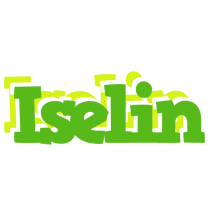 Iselin picnic logo