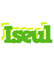 Iseul picnic logo