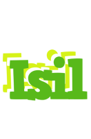 Isil picnic logo