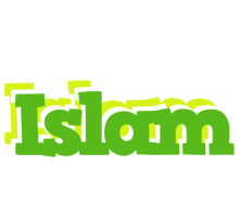 Islam picnic logo