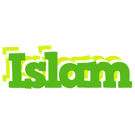 Islam picnic logo
