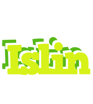 Islin citrus logo