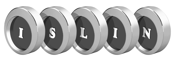 Islin coins logo