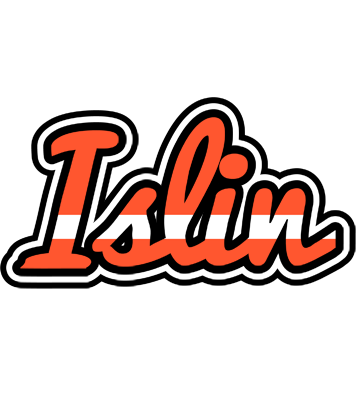 Islin denmark logo