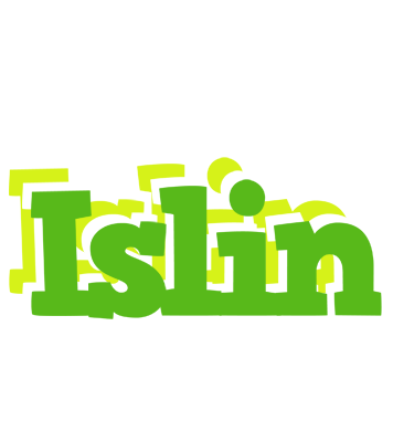 Islin picnic logo