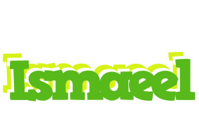 Ismaeel picnic logo