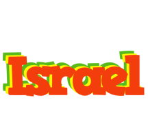 Israel bbq logo