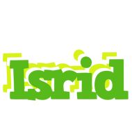 Isrid picnic logo