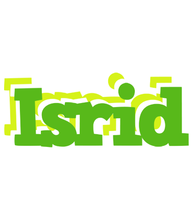 Isrid picnic logo