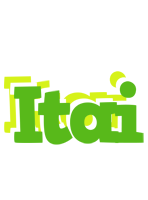 Itai picnic logo