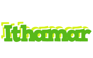 Ithamar picnic logo