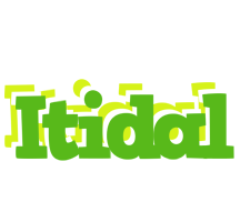 Itidal picnic logo