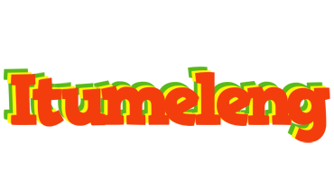 Itumeleng bbq logo