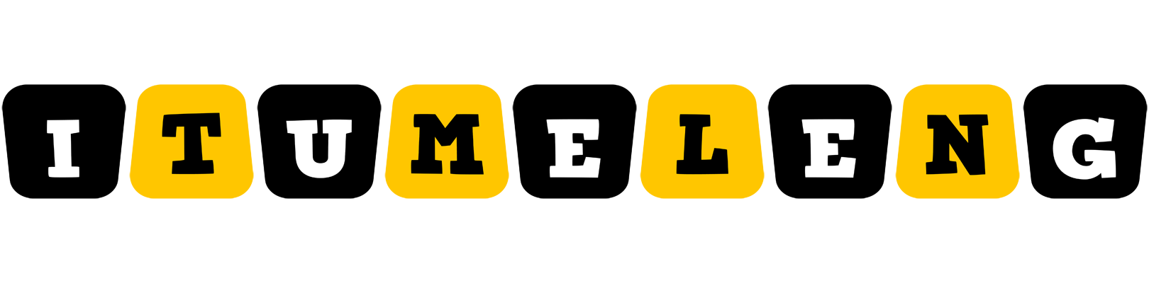 Itumeleng boots logo