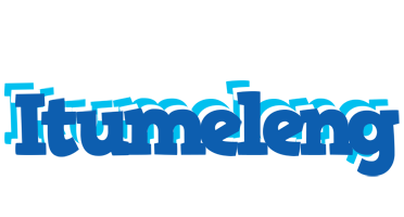 Itumeleng business logo