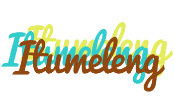 Itumeleng cupcake logo