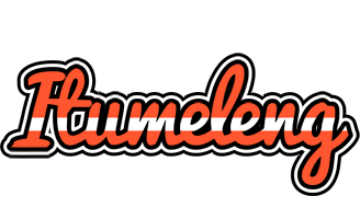 Itumeleng denmark logo