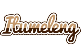 Itumeleng exclusive logo