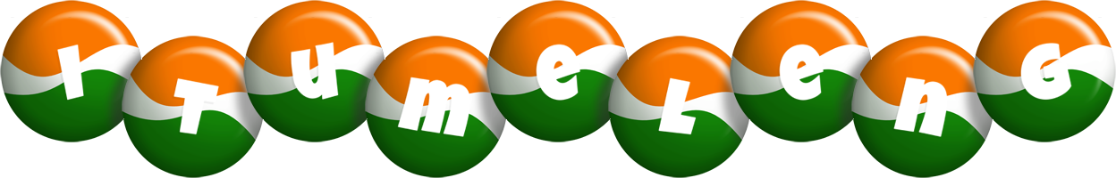 Itumeleng india logo