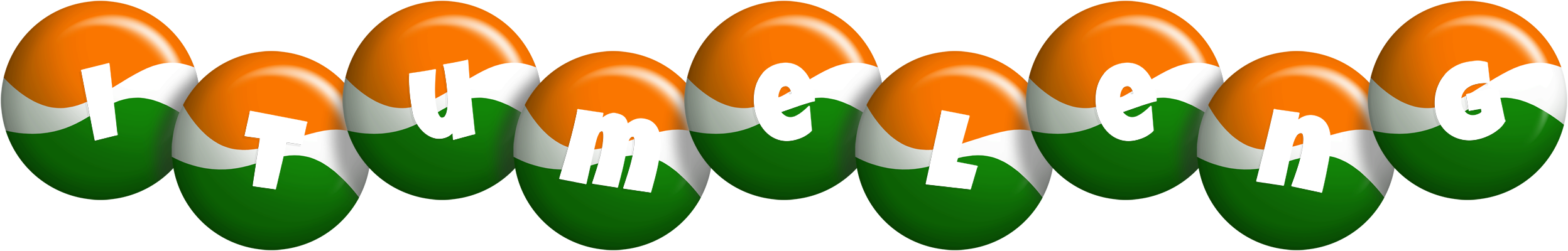 Itumeleng india logo