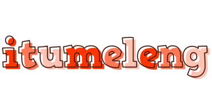 Itumeleng paint logo