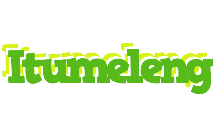 Itumeleng picnic logo