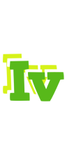 Iv picnic logo