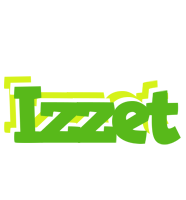 Izzet picnic logo