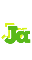 Ja picnic logo